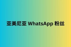 亚美尼亚 whatsapp 粉丝