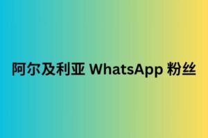 阿尔及利亚 whatsapp 粉丝