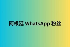 阿根廷 whatsapp 粉丝